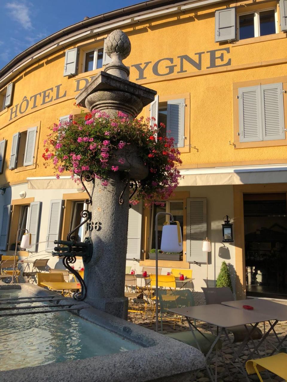 Du Cygne